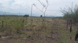 Comayagua terrenos en venta CA-5