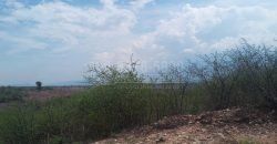 Comayagua terrenos en venta CA-5