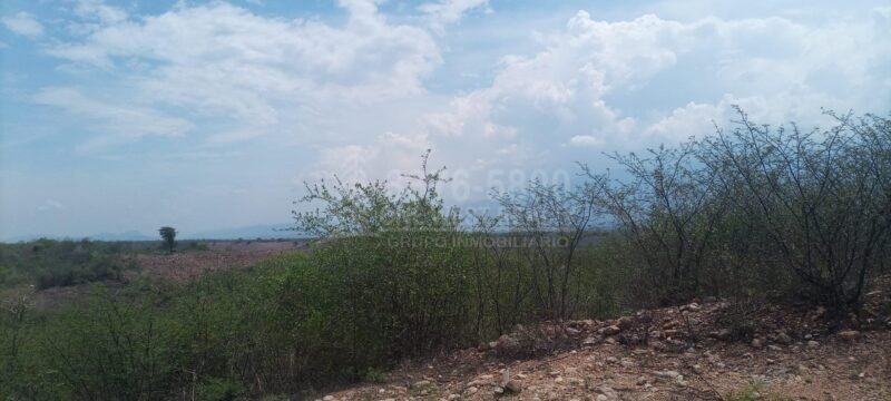 TERRENOS EN VENTA EN PALMEROLA