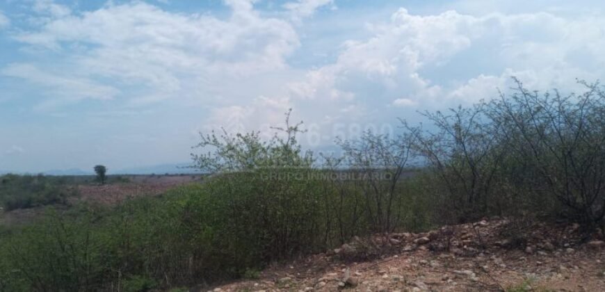 Comayagua terrenos en venta CA-5