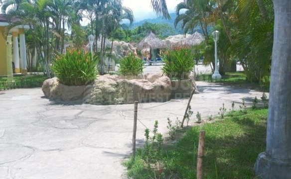 Villas Palma Real & Resort LA Ceiba