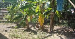 El Progreso Yoro venta de casa en Agua Blanca Sur ***VENDIDA***