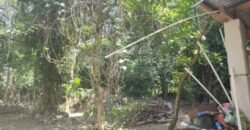 El Progreso Yoro venta de casa en Agua Blanca Sur ***VENDIDA***