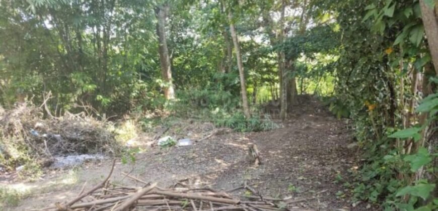 El Progreso Yoro venta de casa en Agua Blanca Sur ***VENDIDA***