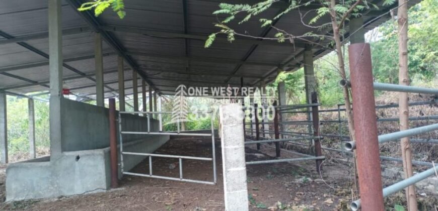 Venta de Terrenos en Santa Rita Yoro, Honduras
