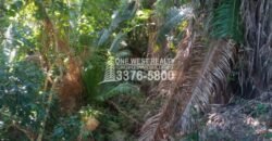 La Ceiba Honduras 34 Acres of Land for Sale with an Amazing Ocean View