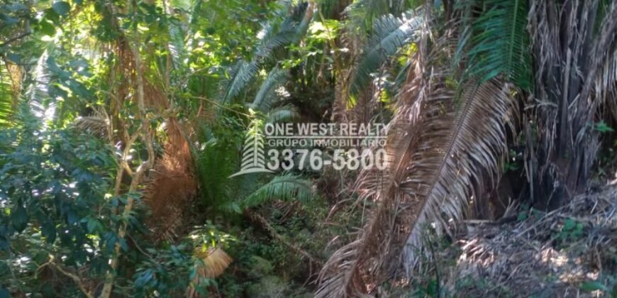 La Ceiba Honduras 34 Acres of Land for Sale with an Amazing Ocean View