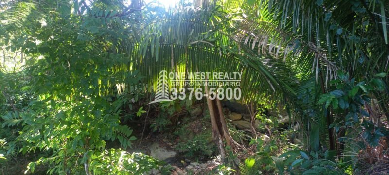 La Ceiba Honduras 34 Acres of Land for Sale with an Amazing Ocean View