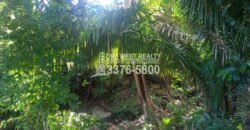 La Ceiba Honduras 34 Acres of Land for Sale with an Amazing Ocean View