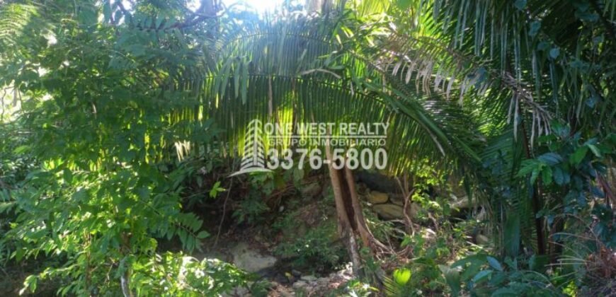 La Ceiba Honduras 34 Acres of Land for Sale with an Amazing Ocean View
