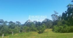 La Ceiba Honduras 34 Acres of Land for Sale with an Amazing Ocean View