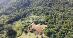 La Ceiba Honduras 34 Acres of Land for Sale with an Amazing Ocean View