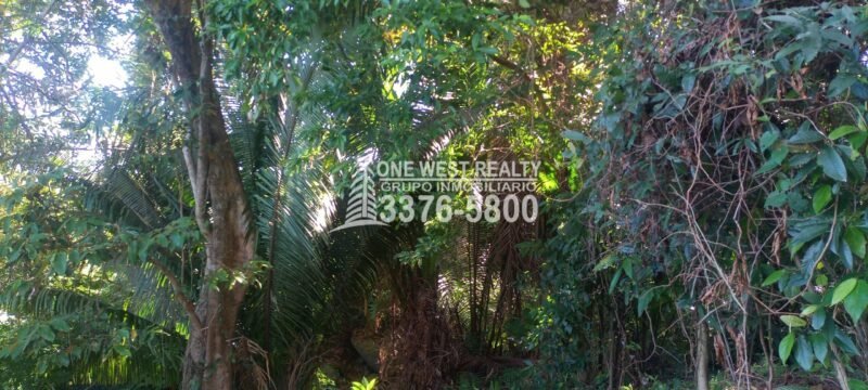 San Pedro Sula , Bienes Raices