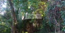La Ceiba Honduras 34 Acres of Land for Sale with an Amazing Ocean View
