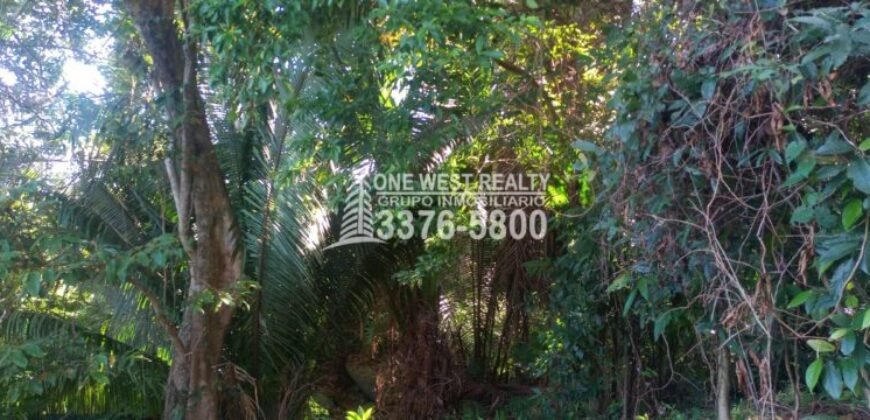 La Ceiba Honduras 34 Acres of Land for Sale with an Amazing Ocean View