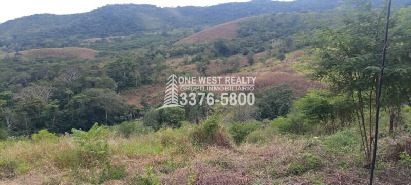 venta de terreno santa rita