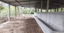 Venta de Terrenos en Santa Rita Yoro, Honduras