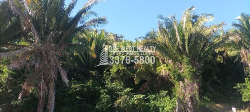 venta de lotes en la ceiba