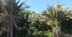 La Ceiba Honduras 34 Acres of Land for Sale with an Amazing Ocean View
