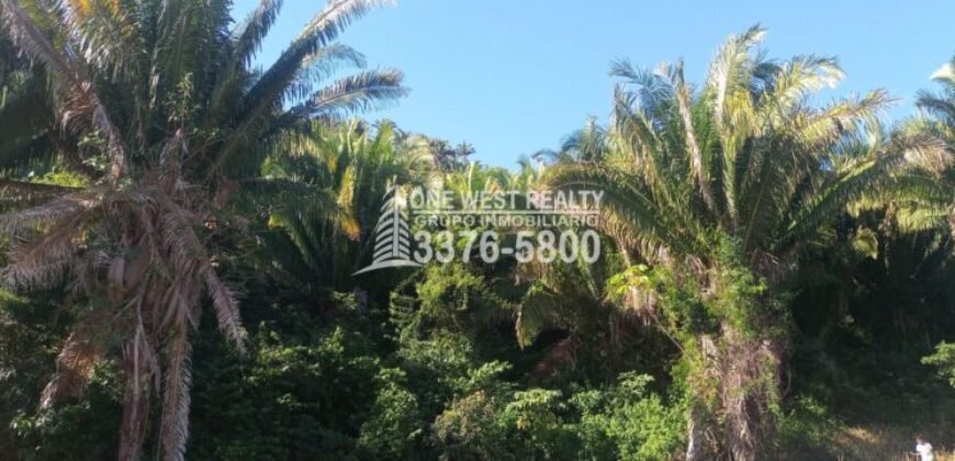La Ceiba Honduras 34 Acres of Land for Sale with an Amazing Ocean View