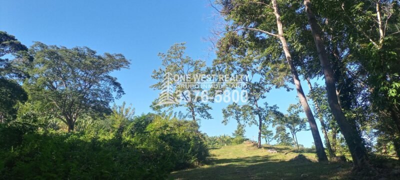 venta de terrenos en ganga
