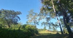La Ceiba Honduras 34 Acres of Land for Sale with an Amazing Ocean View
