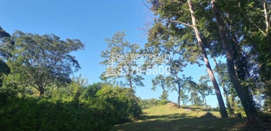 La Ceiba Honduras 34 Acres of Land for Sale with an Amazing Ocean View