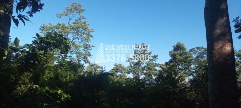 La Ceib Honduras Real Estate