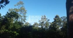 La Ceiba Honduras 34 Acres of Land for Sale with an Amazing Ocean View