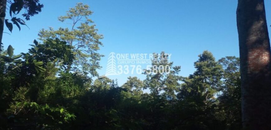 La Ceiba Honduras 34 Acres of Land for Sale with an Amazing Ocean View