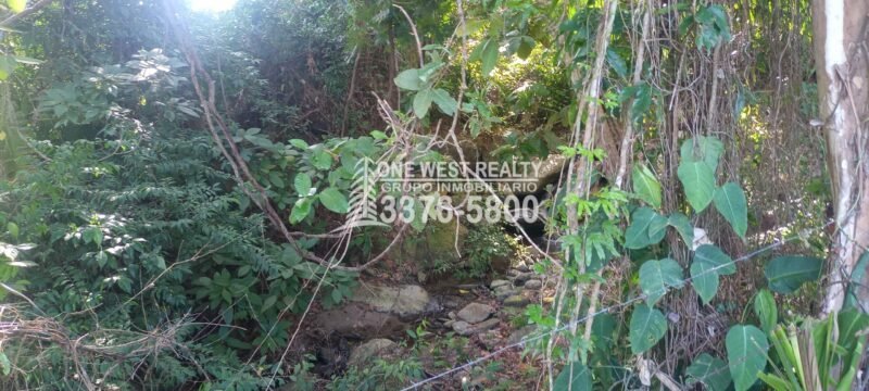 one west realty honduras