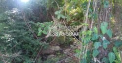 La Ceiba Honduras 34 Acres of Land for Sale with an Amazing Ocean View