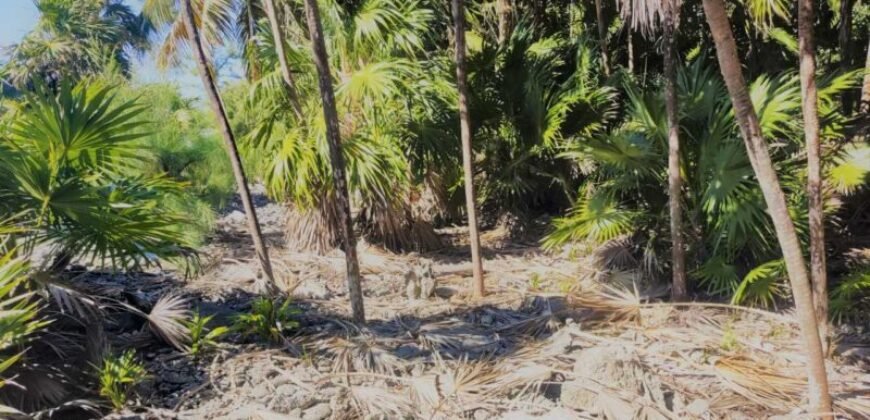 Lote de 3.6 Acres en Venta En Islas de la Bahia Cayos Cochinos