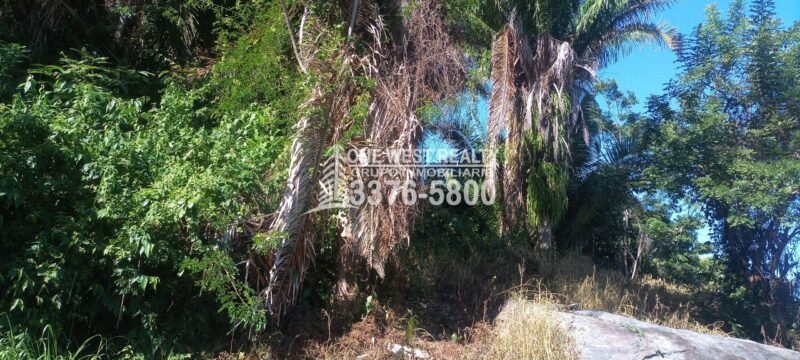Honduras, real estate Roatan
