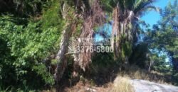 La Ceiba Honduras 34 Acres of Land for Sale with an Amazing Ocean View