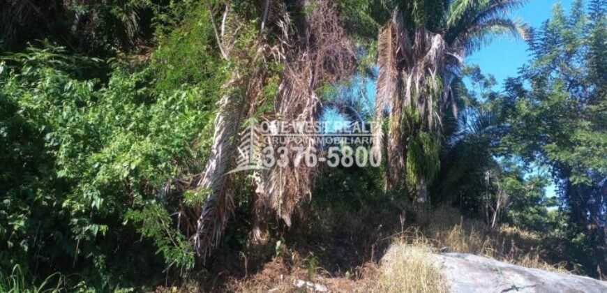 La Ceiba Honduras 34 Acres of Land for Sale with an Amazing Ocean View