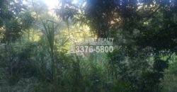 Venta de Terreno Con Vista a Rio Cangrejal y Pico Bonito La Ceiba