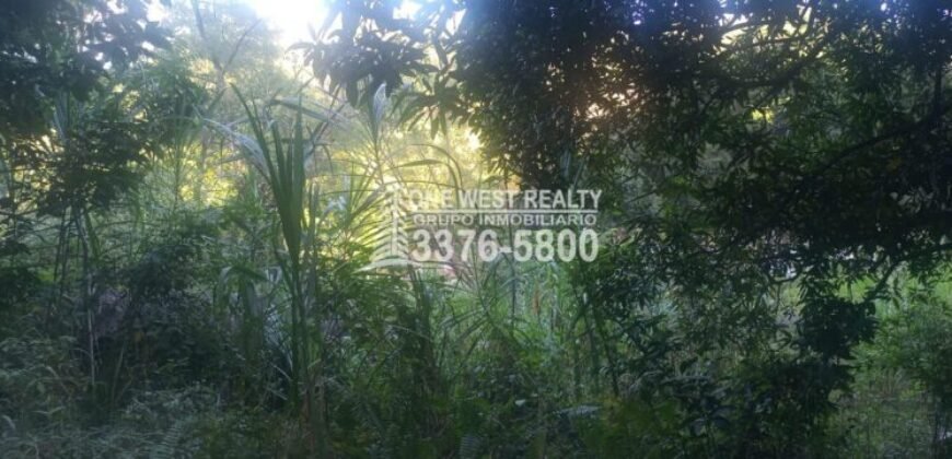 Venta de Terreno Con Vista a Rio Cangrejal y Pico Bonito La Ceiba