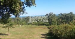 La Ceiba Honduras 34 Acres of Land for Sale with an Amazing Ocean View