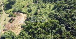 La Ceiba Honduras 34 Acres of Land for Sale with an Amazing Ocean View