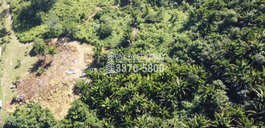 La Ceiba Honduras 34 Acres of Land for Sale with an Amazing Ocean View