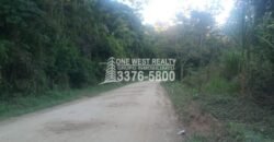Venta de Terreno Con Vista a Rio Cangrejal y Pico Bonito La Ceiba