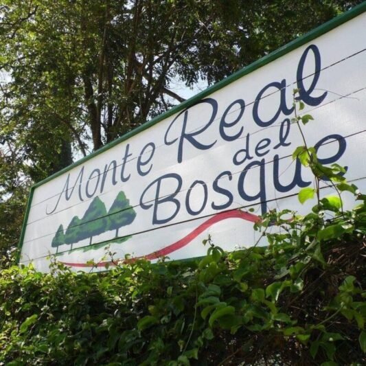 Monte Real Del Bosque Venta de Casas 1westrealty