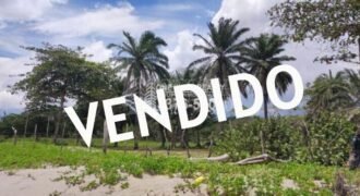 Terreno en venta frente a la playa La Ceiba Coco Pando