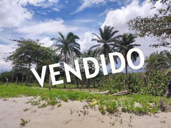TERRENO LA CEIBA