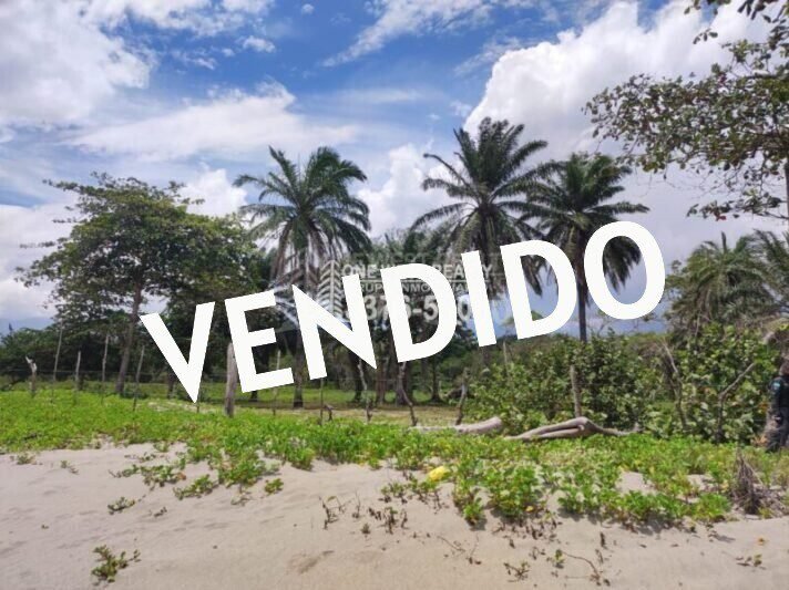 TERRENO LA CEIBA