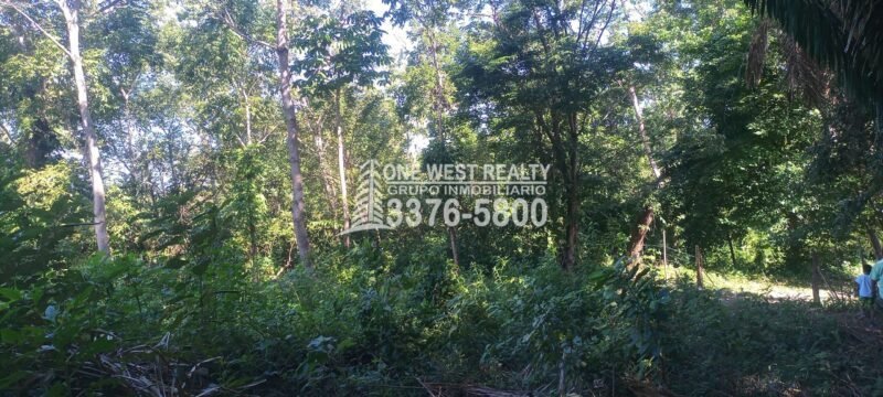 Venta de terrenos en Jutiapa Atlantida