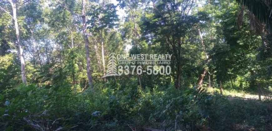 La Ceiba Honduras Venta de Terreno con Vista a Cayos Cochinos