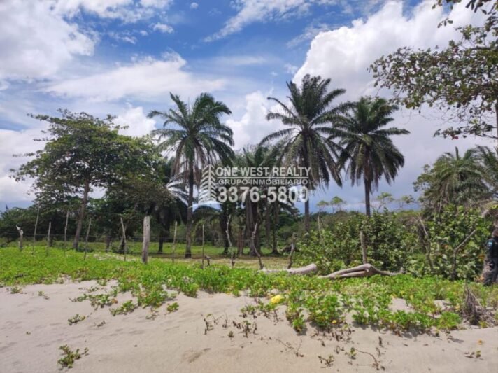 Terreno en venta frente a la playa La Ceiba Coco Pando
