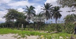 Terreno en venta frente a la playa La Ceiba Coco Pando
